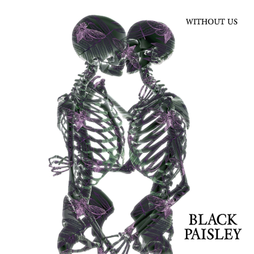 Black Paisley - Without Us - Studio Humbucker - Recording, mixing & mastering