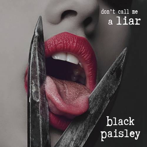 Black Paisley - Don't Call me a Liar - Studio Humbucker - Recording, mixing & mastering