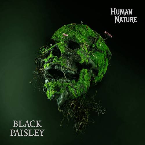 Black Paisley - Studio Humbucker - Recording, mixing & mastering