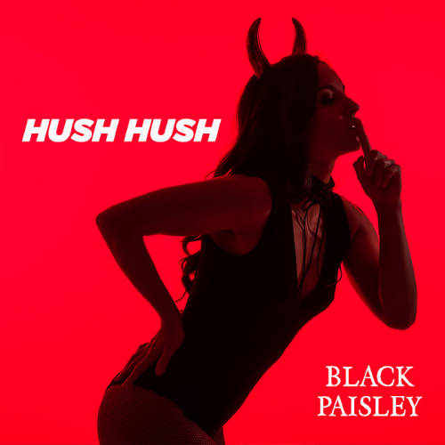 Black Paisley - Studio Humbucker - Recording, mixing & mastering